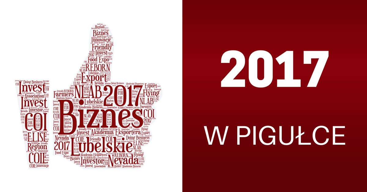 Podsumowanie roku 2017 województwo lubelskie