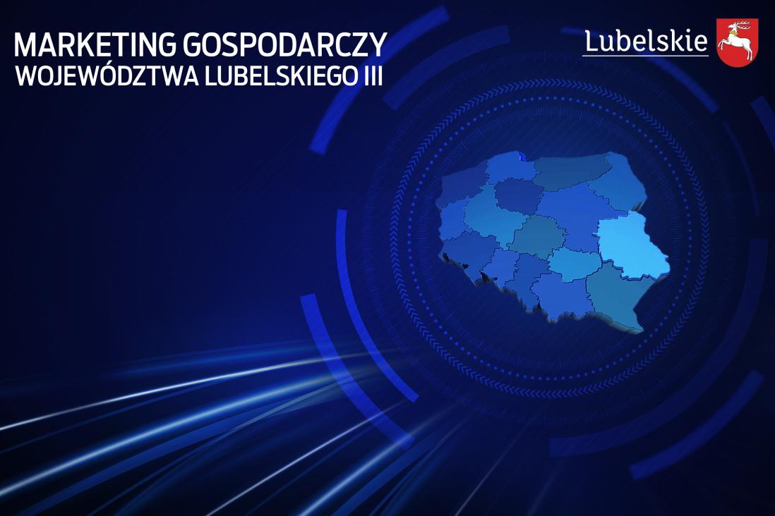 Marketing Gospodarczy Województwa Lubelskiego III