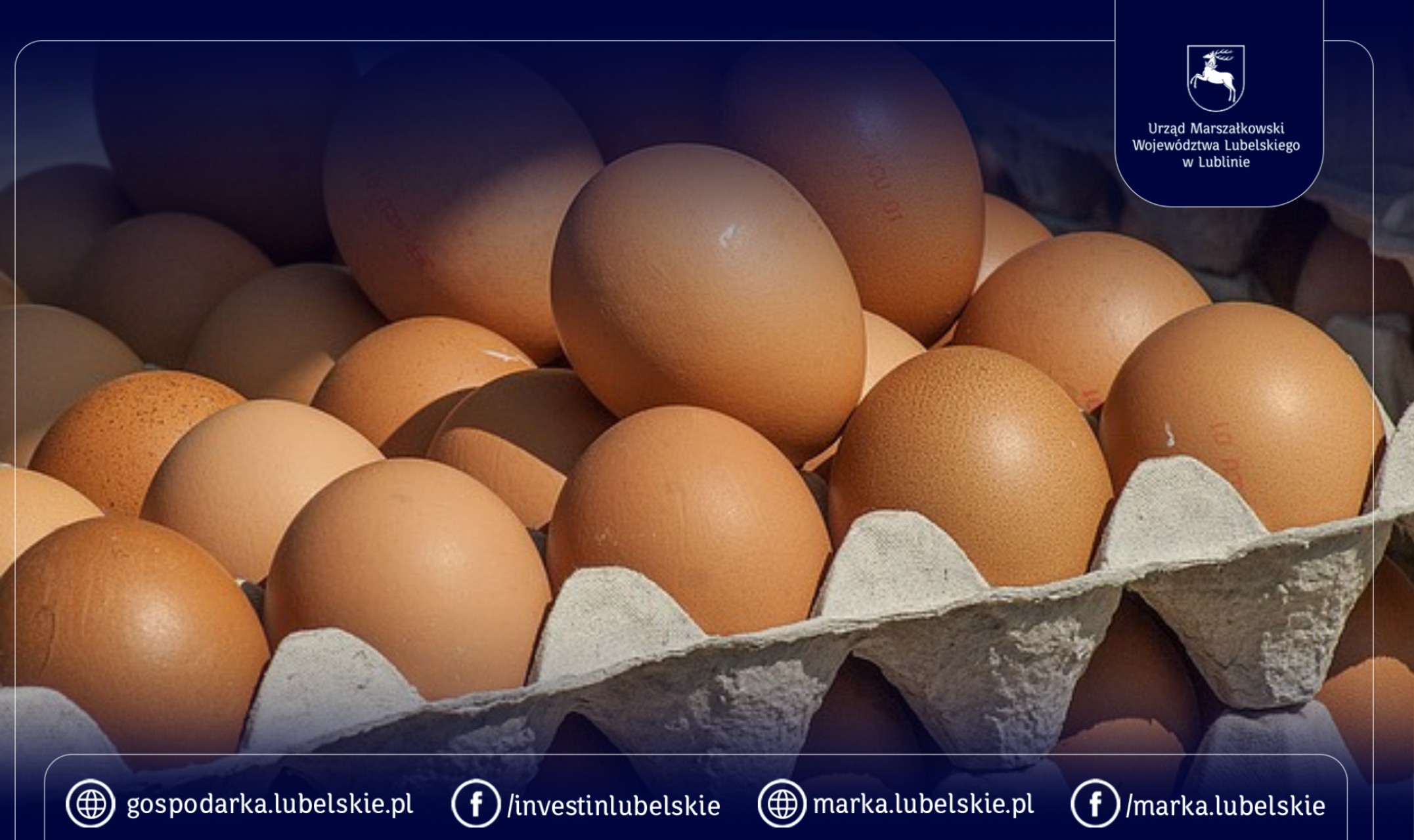 Gospodarka z jajami w tle. Lubelskie liderem