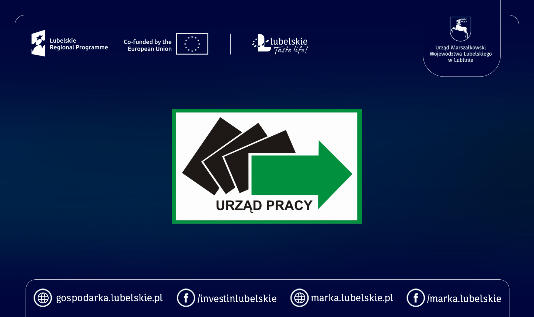 Międzynarodowe Targi Pracy w Lublinie już 28 października