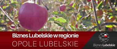 Opole Lubelskie - wizytówka samorządu. Biznes Lubelskie w regionie.