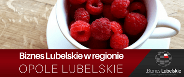 Opole Lubelskie - eksport. Biznes Lubelskie w regionie